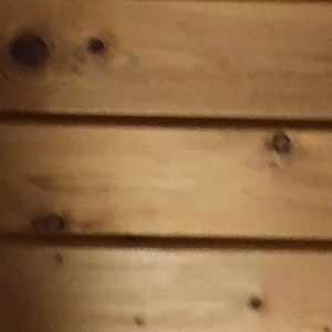 Meet your Posher, Lady